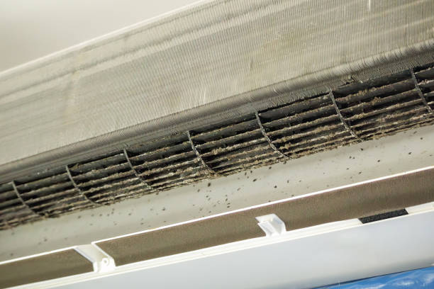 Best Dryer Vent Cleaning Services  in Lordship, CT